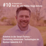 Prof. Dr. Jan Niklas Voigt Antons