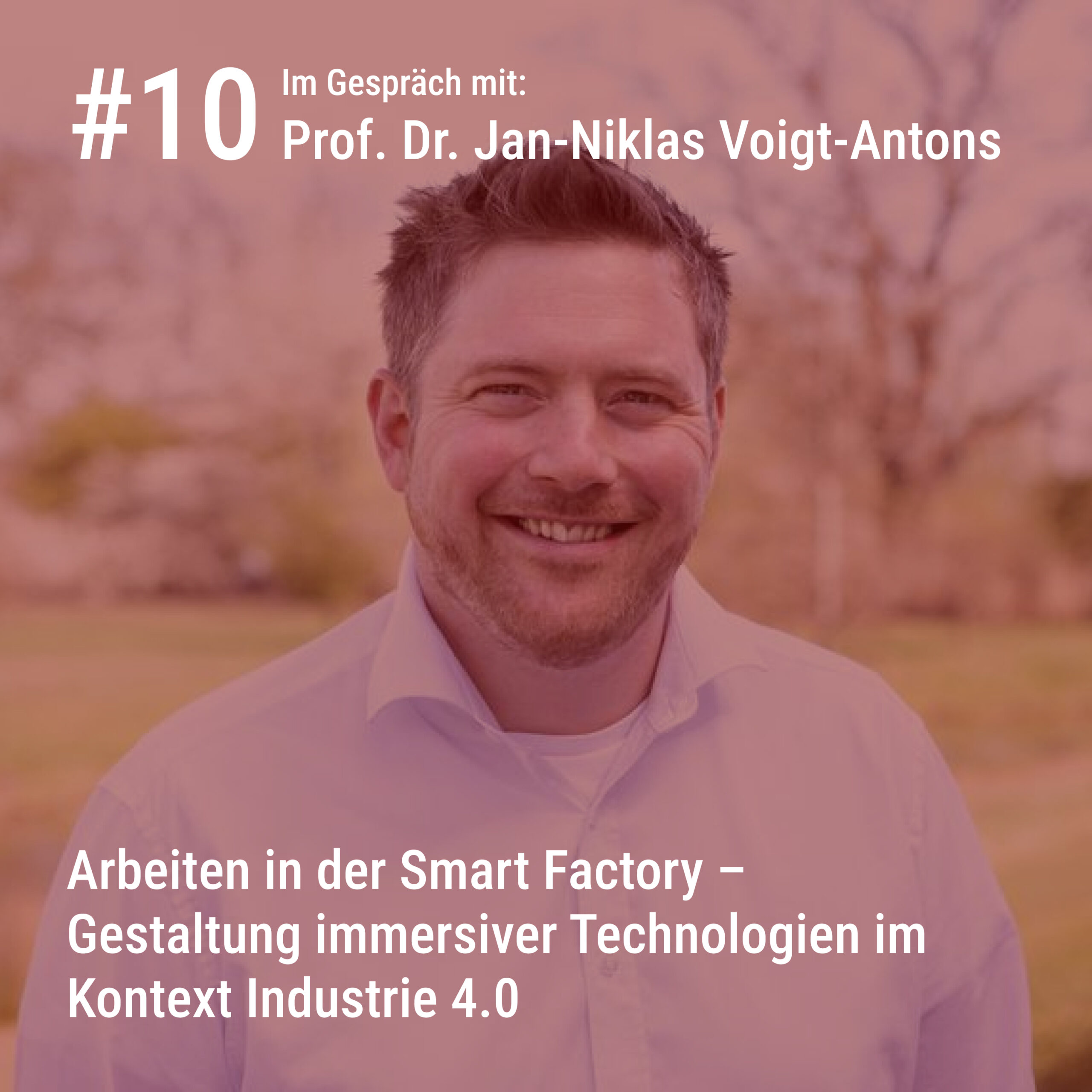 Prof. Dr. Jan Niklas Voigt Antons